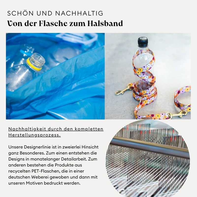 Hundegeschirr TÄNZER