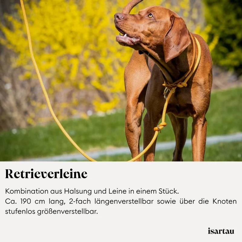 Tau-Retrieverleine Black Mamba BEIGE, 190 cm (integrierte Halsung)