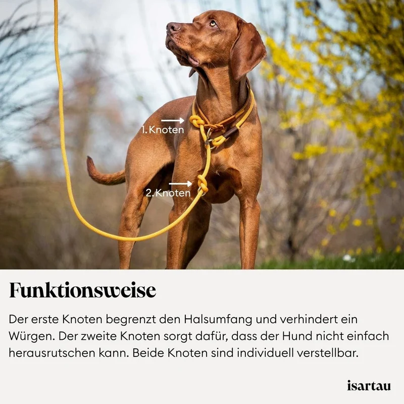 Tau-Retrieverleine Black Mamba BEIGE, 190 cm (integrierte Halsung)