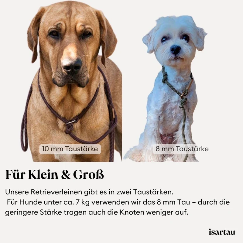 Tau-Retrieverleine Black Mamba BEIGE, 190 cm (integrierte Halsung)