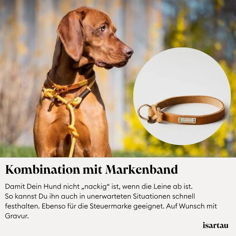 Tau-Retrieverleine Black Mamba BEIGE, 190 cm (integrierte Halsung)