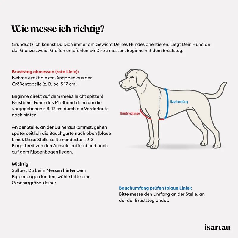 Hundegeschirr Softie NEONORANGE