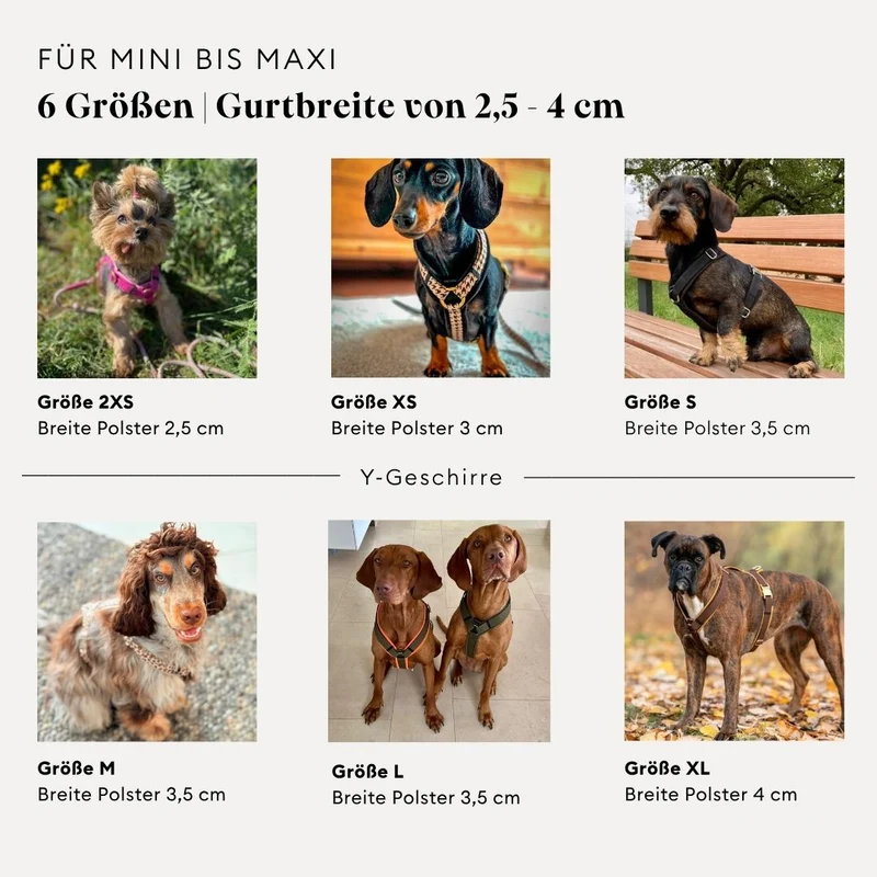 Hundegeschirr Softie NEONORANGE