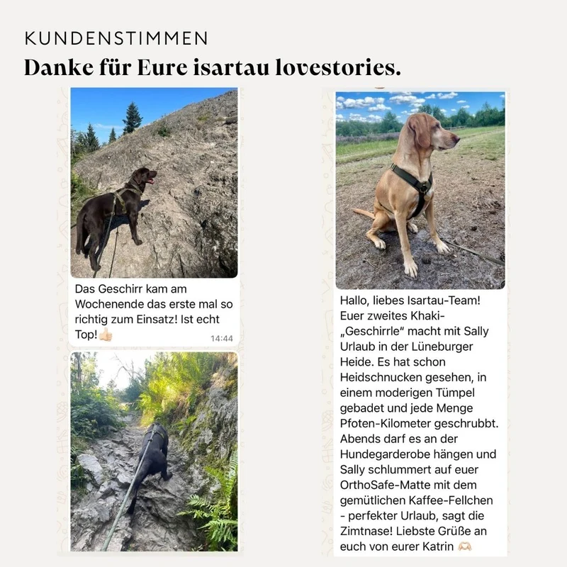 Hundegeschirr Softie NEONORANGE