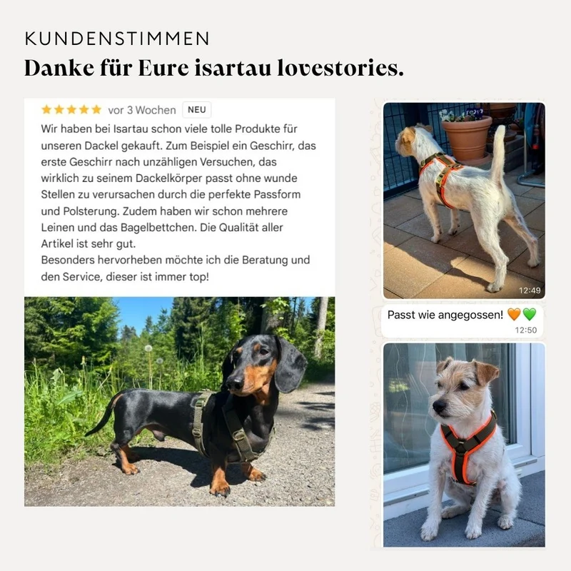 Hundegeschirr Softie NEONORANGE