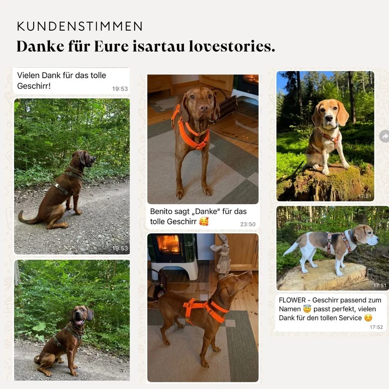 Hundegeschirr Softie NEONORANGE