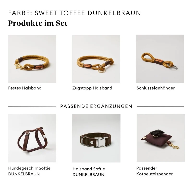 Tau-Retrieverleine Sweet Toffee DUNKELBRAUN, 190 cm (integrierte Halsung)