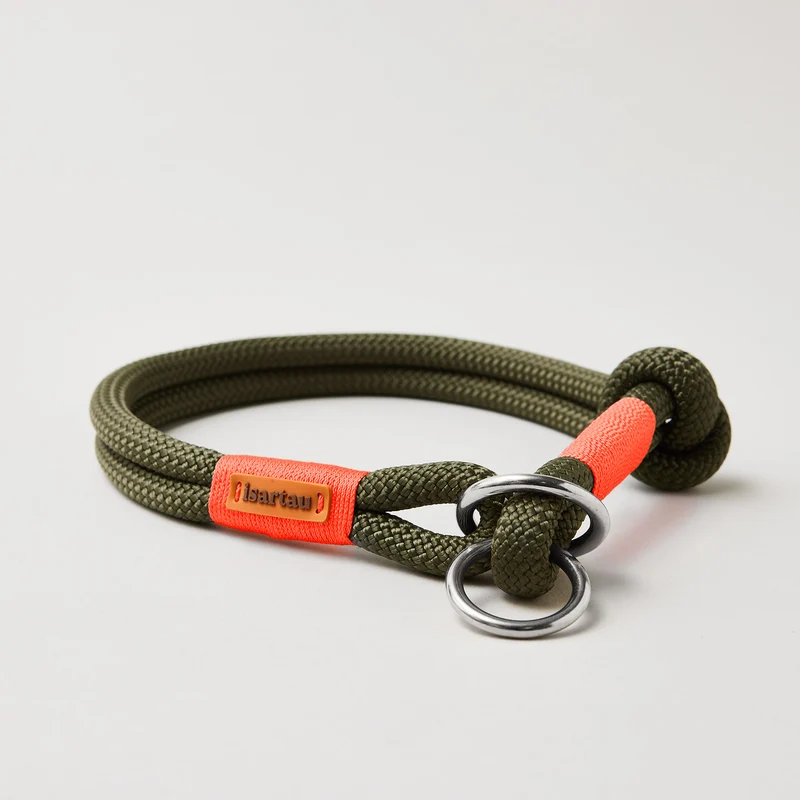 Zugstopp-Halsband Olive Grove NEONORANGE