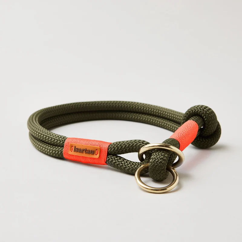 Zugstopp-Halsband Olive Grove NEONORANGE