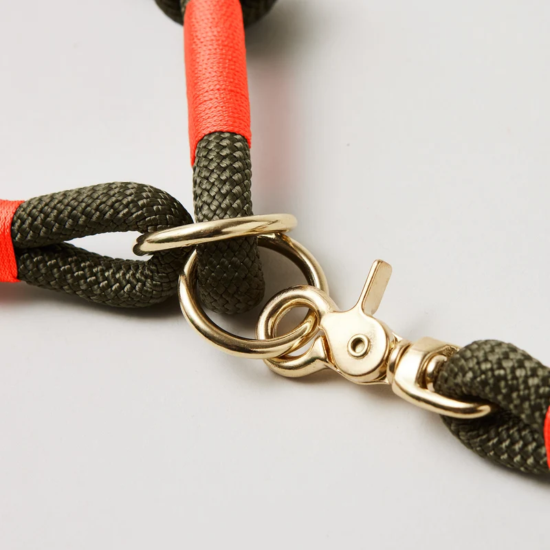 Zugstopp-Halsband Olive Grove NEONORANGE