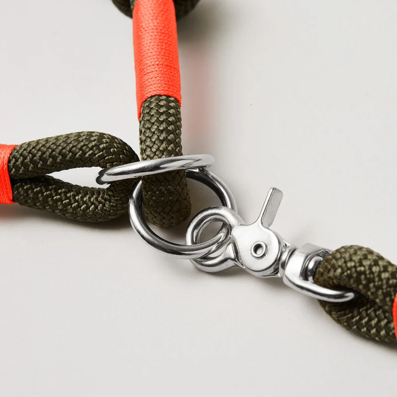 Zugstopp-Halsband Olive Grove NEONORANGE