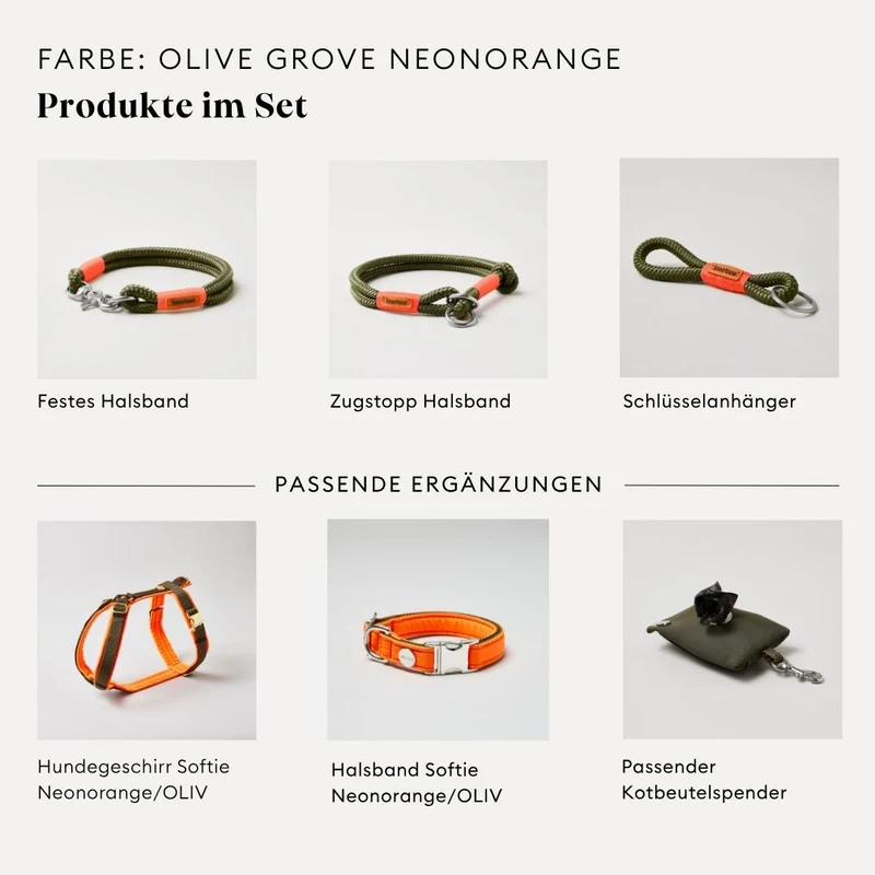 Tau-Retrieverleine Olive Grove NEONORANGE, 190 cm (integrierte Halsung)