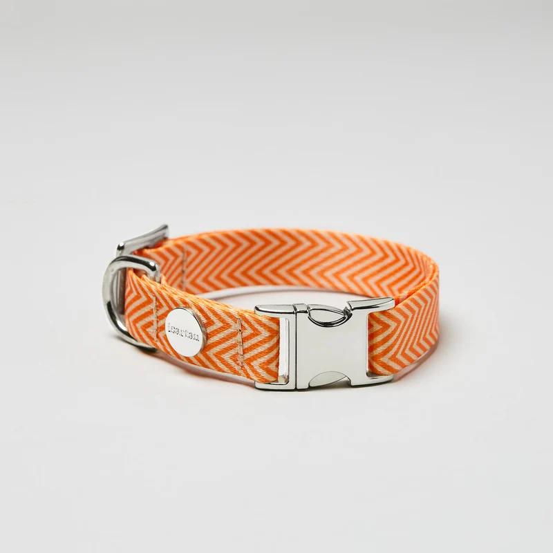 Designerhalsband TÄNZER