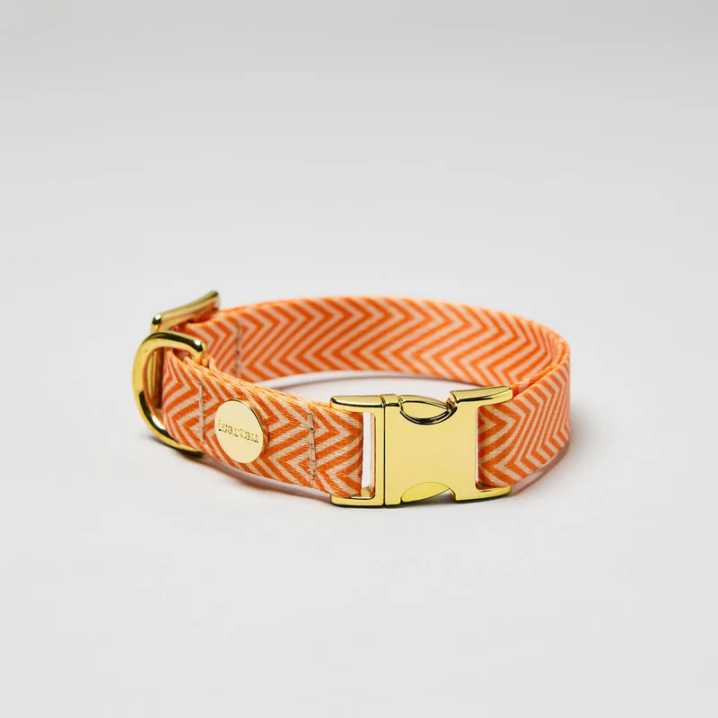 Designerhalsband TÄNZER