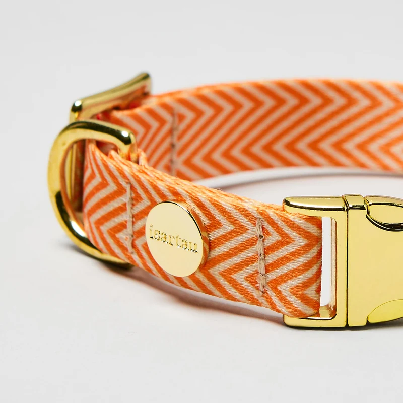 Designerhalsband TÄNZER