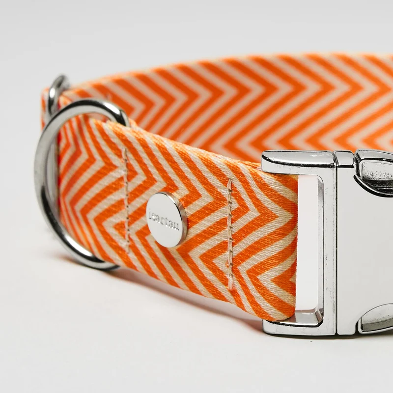 Designerhalsband TÄNZER