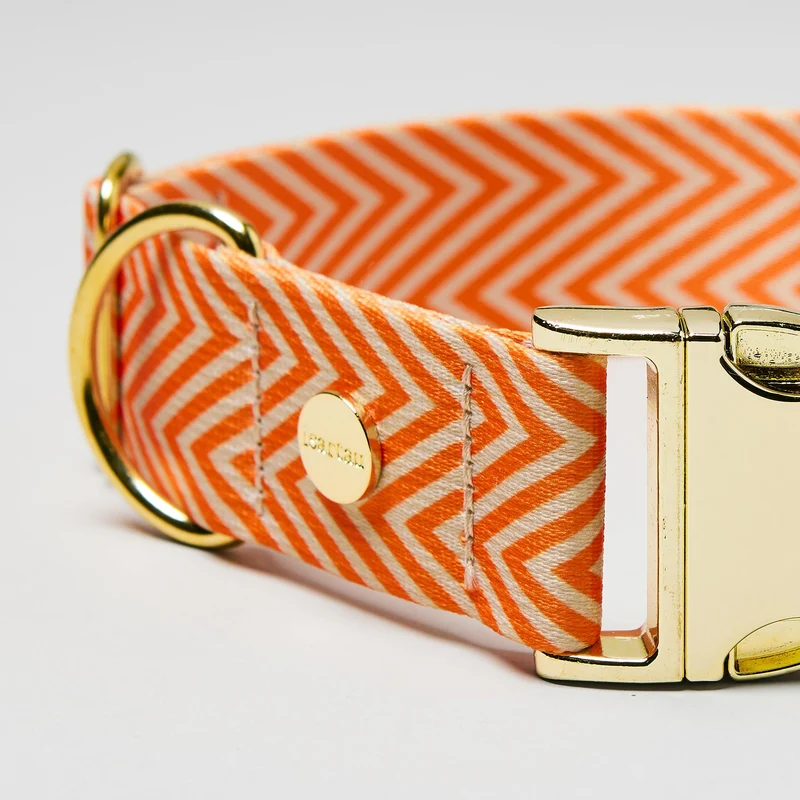 Designerhalsband TÄNZER