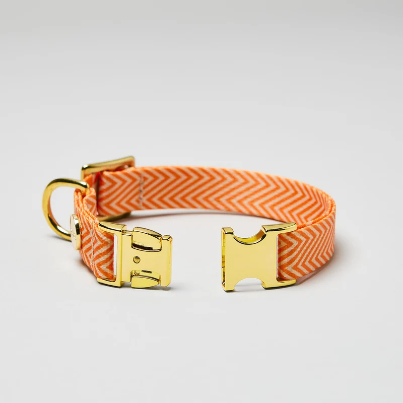 Designerhalsband TÄNZER