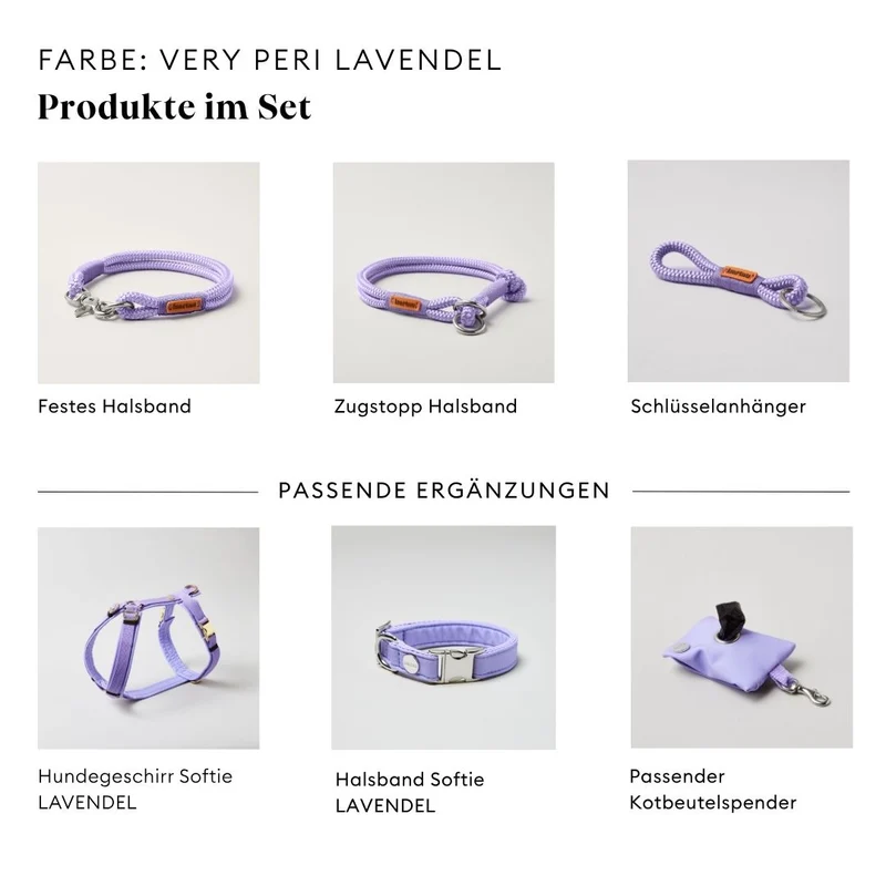Festes Halsband Very Peri LAVENDEL