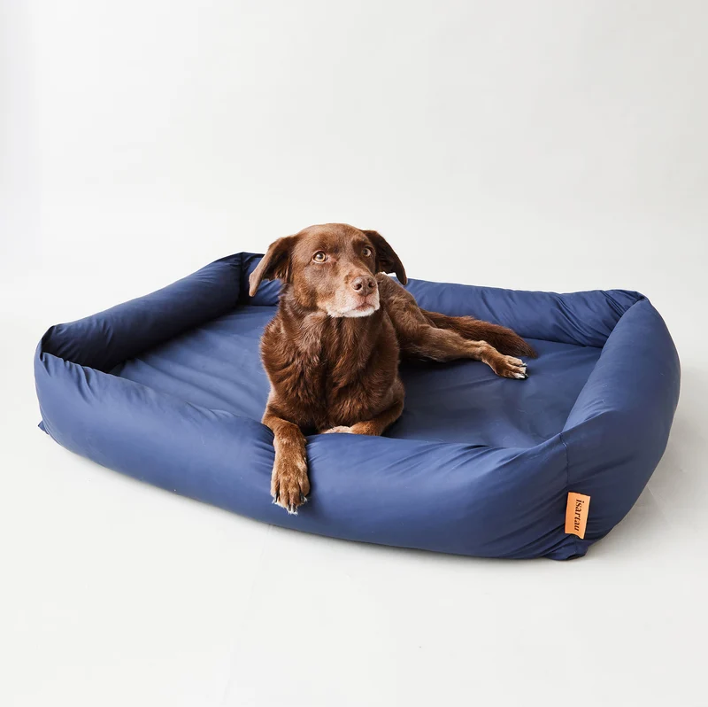 Hundebett eckig, Ortho, SAFE BLAU