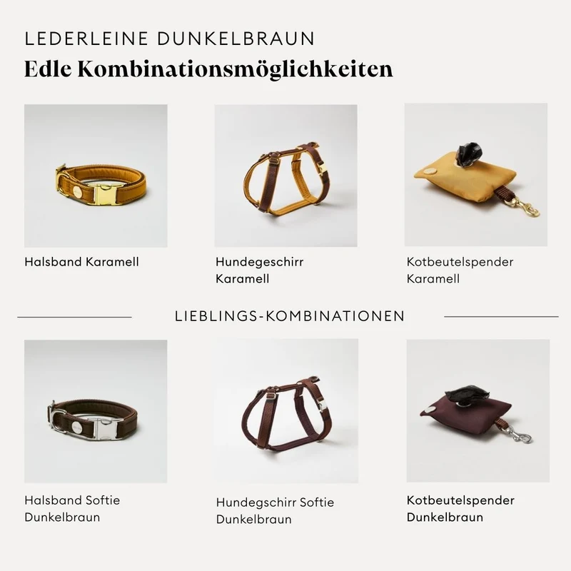 Lederleine SPORTY 250 cm, DUNKELBRAUN (Umhängeleine)