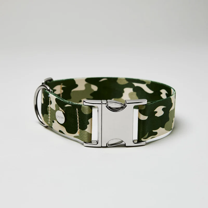 Welpenhalsband ENTDECKER