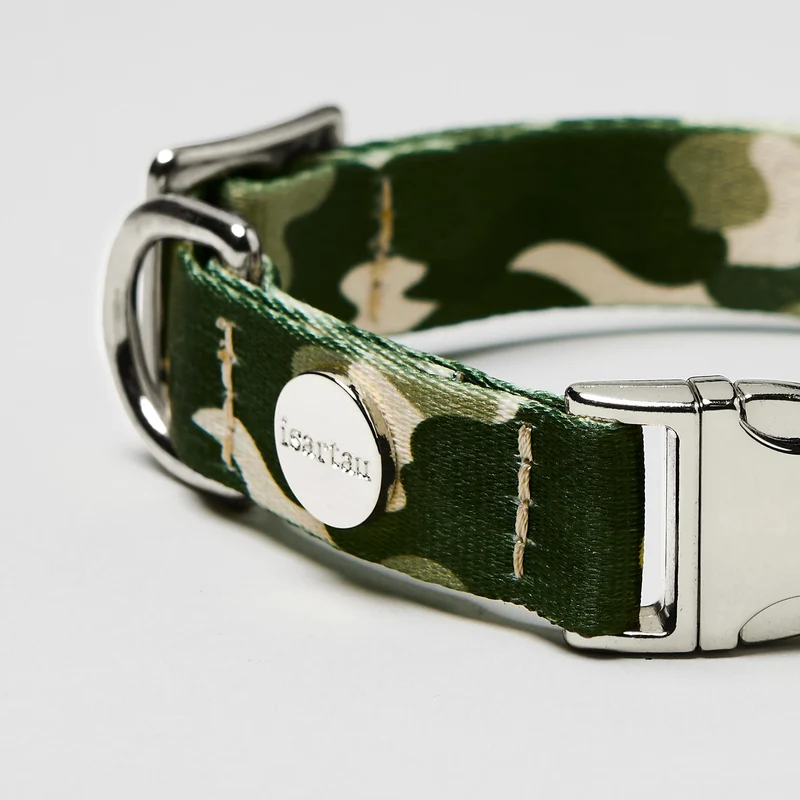 Welpenhalsband ENTDECKER