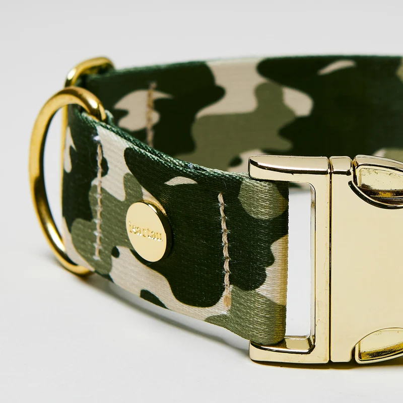 Welpenhalsband ENTDECKER