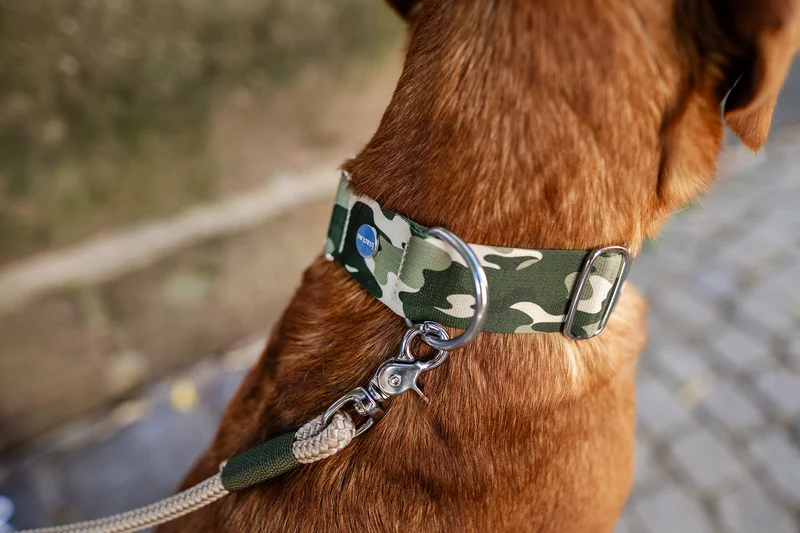 Welpenhalsband ENTDECKER