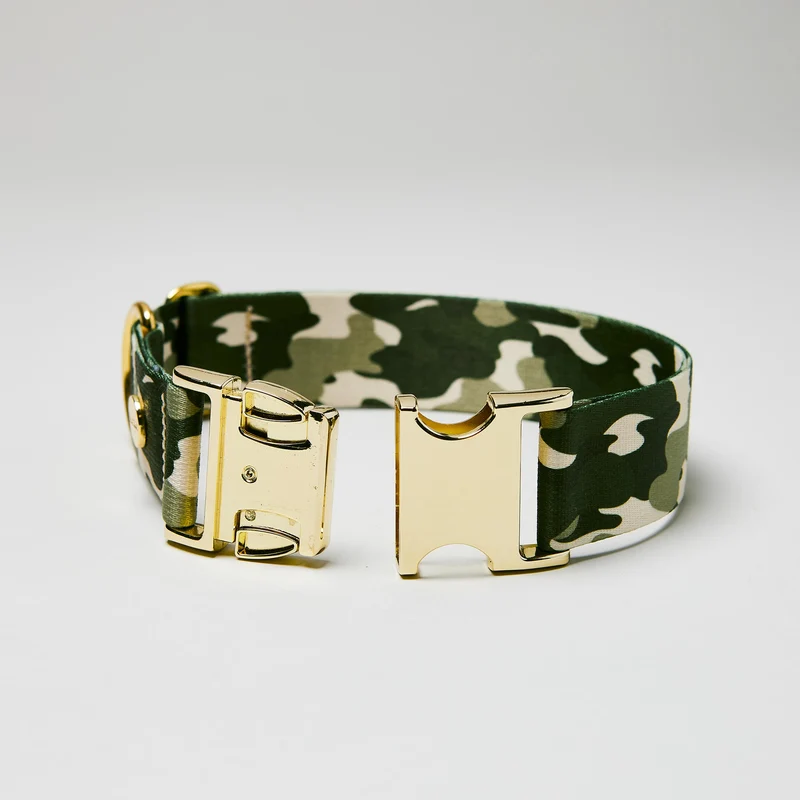 Welpenhalsband ENTDECKER