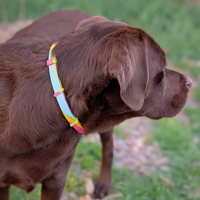 Zeckenhalsband Hund | natürliche Inhaltsstoffe | Bunt