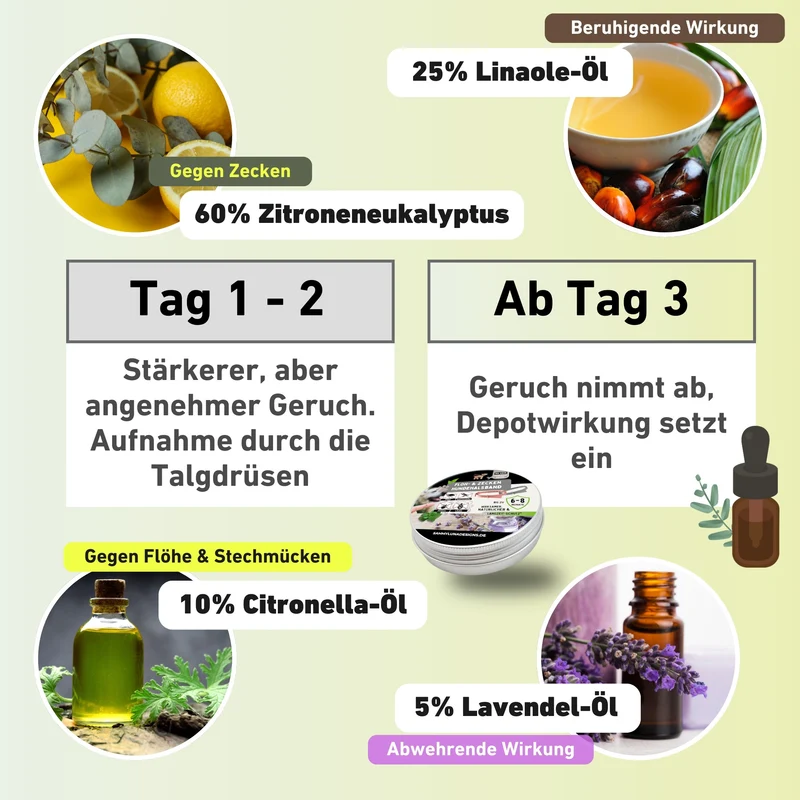 Zeckenhalsband Hund | natürliche Inhaltsstoffe | Bunt