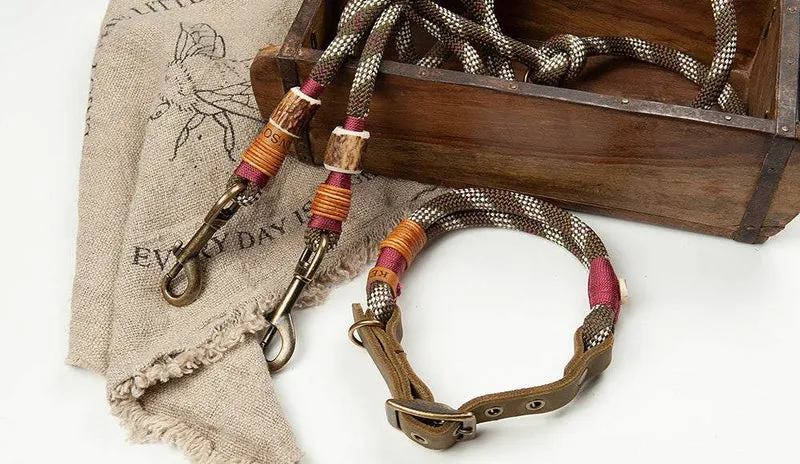 Set: Hundeleine Tau & Halsband mit Schnalle – 10mm | Konfigurator