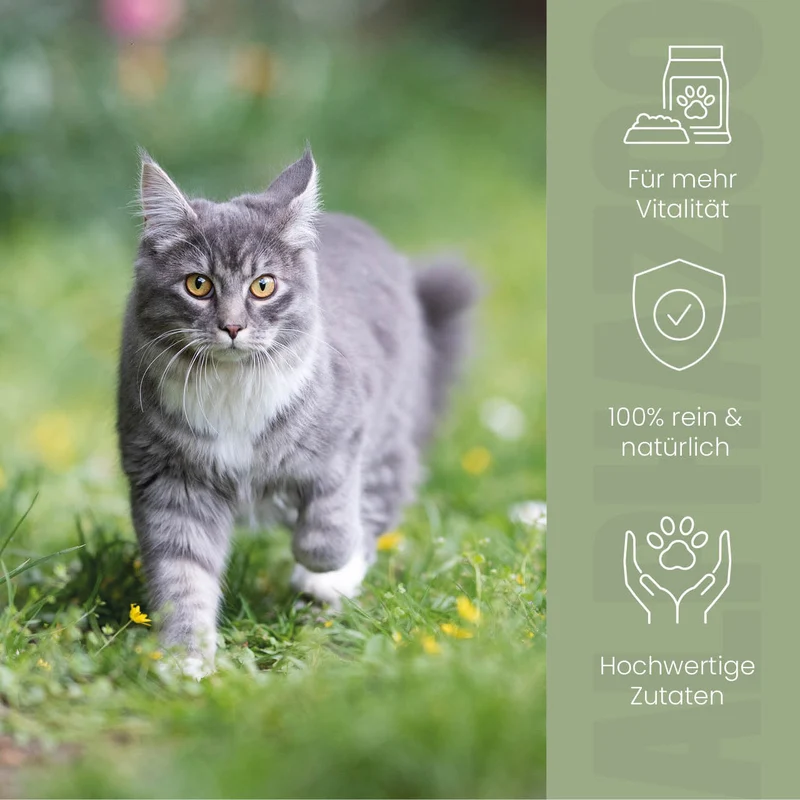 Alpha-Immun Futteröl für Katzen