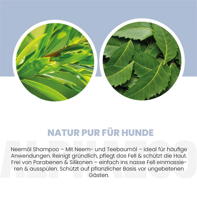 Neemöl Shampoo für Hunde