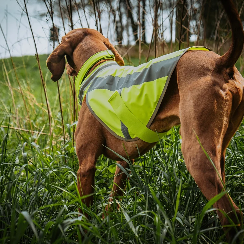 Hundewarnweste Neongelb