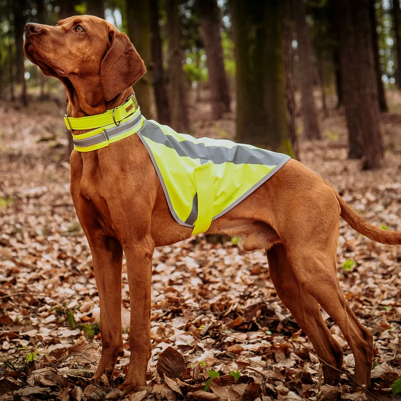 Hundewarnweste Neongelb