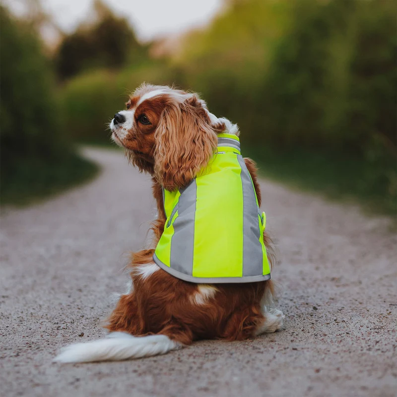 Hundewarnweste Neongelb