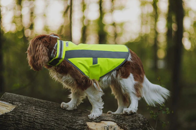 Hundewarnweste Neongelb