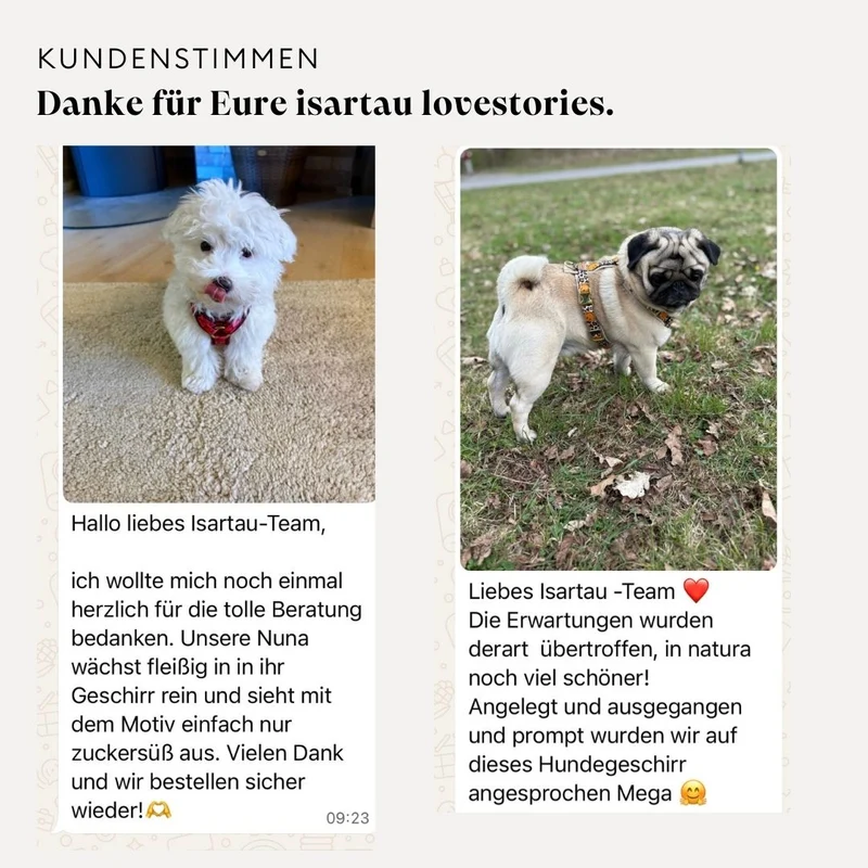Hundegeschirr TÄNZER