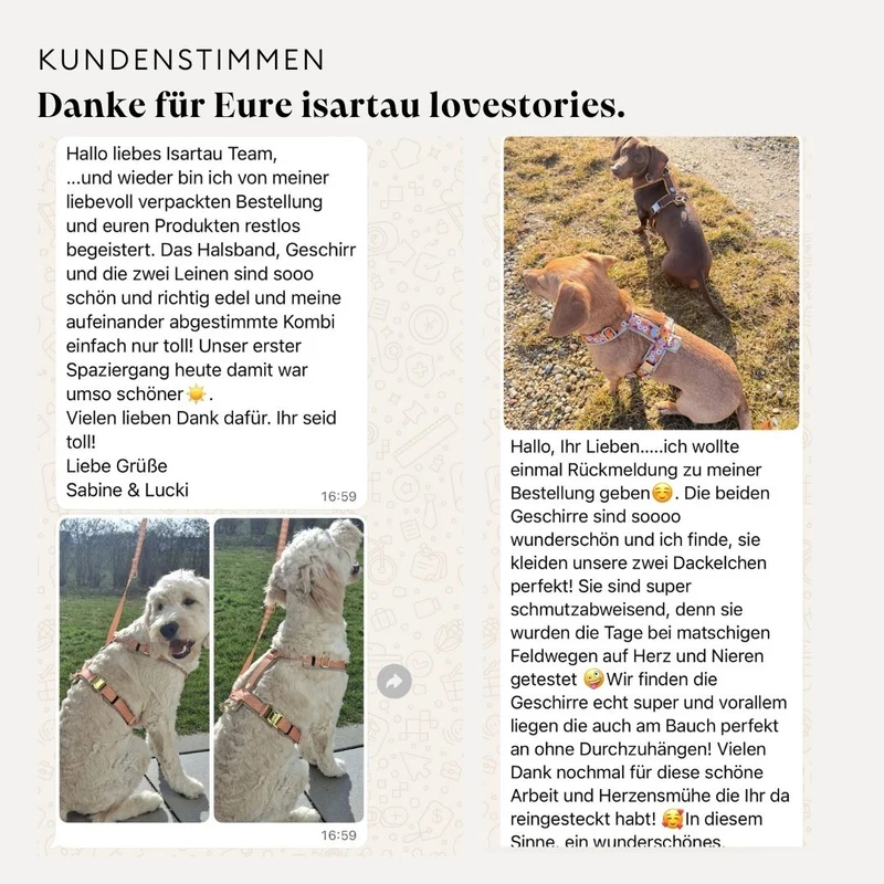 Hundegeschirr TÄNZER