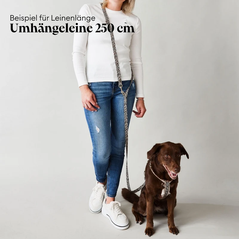 Designerleine GOLDEN LEO, 250 cm (Umhängeleine)