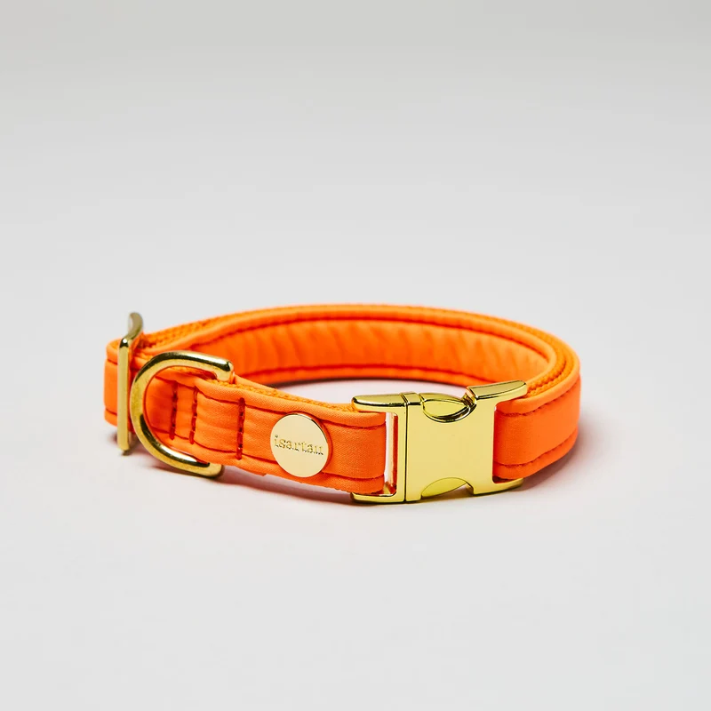 Halsband Softie NEONORANGE