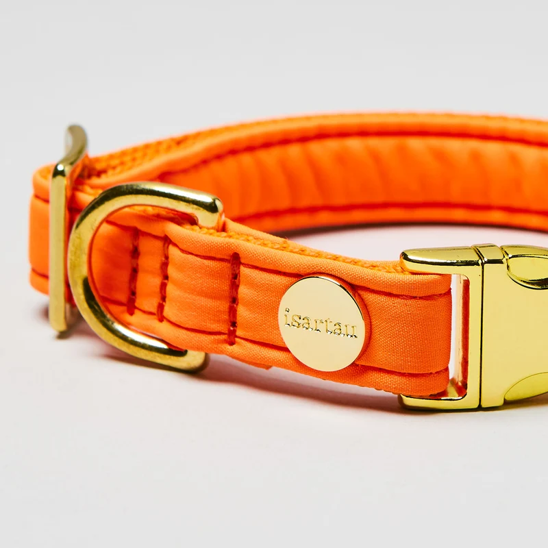 Halsband Softie NEONORANGE