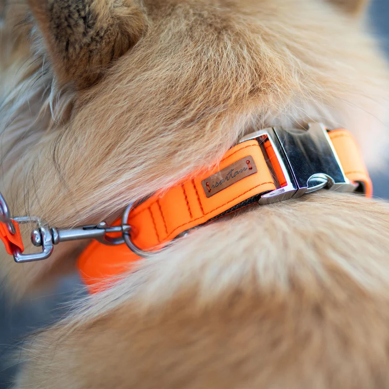 Halsband Softie NEONORANGE