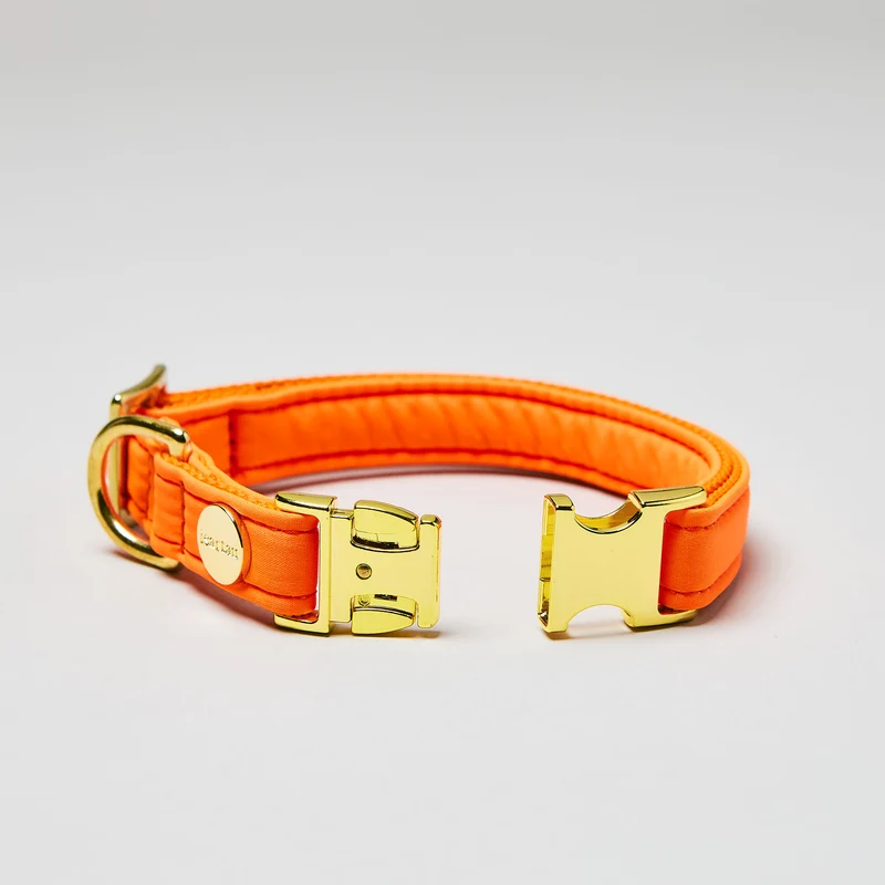 Halsband Softie NEONORANGE