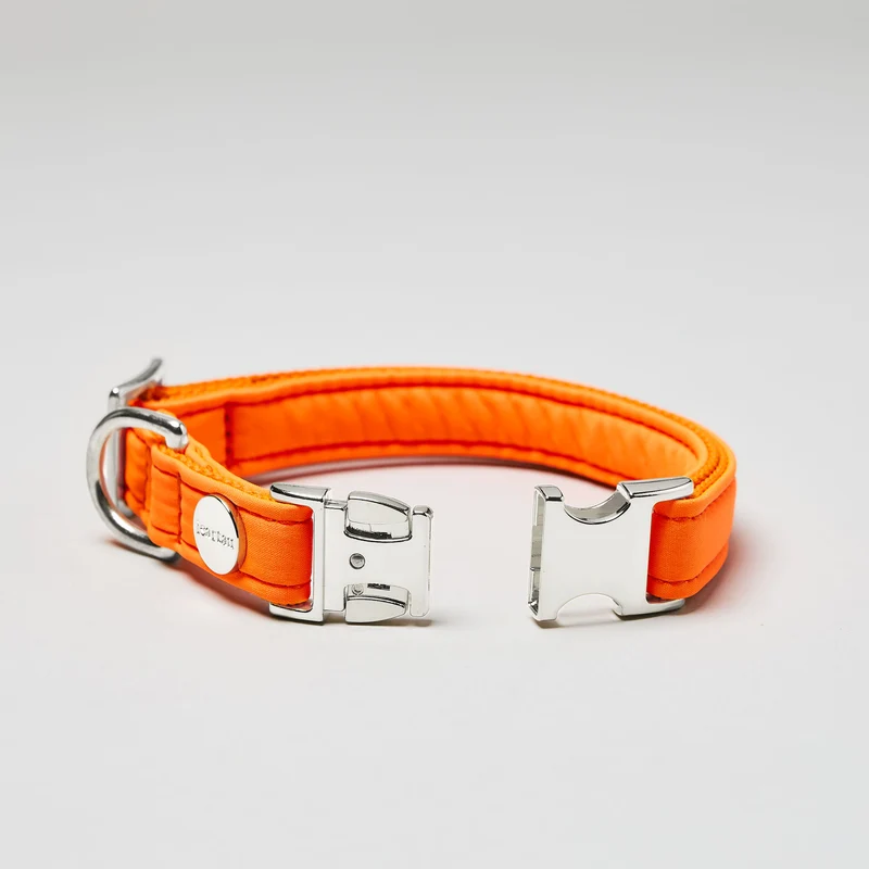 Halsband Softie NEONORANGE