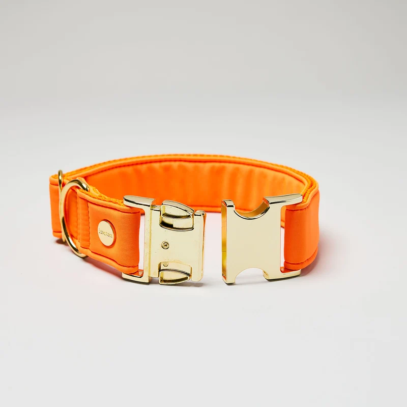 Halsband Softie NEONORANGE
