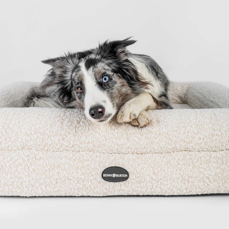 Hundebett Barklay Größe XS mit Bouclébezug