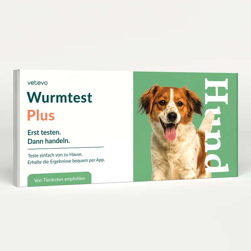 Wurmtest Plus Hund